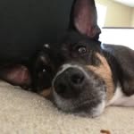 Jay Gagne - @jaygagne3 - Instagram