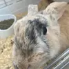 Jay Gallagher - @jay.gallagher32 - TikTok