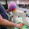 Jayne Gallagher - @jaynegallagherpetstylist - TikTok