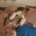 Jay Gann - Facebook