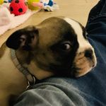 Jay Gasson - @jay_gasson - Instagram