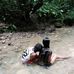 Jay Geng - Facebook