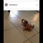 Dakotaleegoff - @jaygoff - Instagram