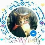 Jay Goss - @jayrgoss1954 - Instagram