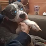 Jayson Grider - @jay.grider1 - Instagram