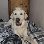 Jay Guptill - @epekjay - Instagram