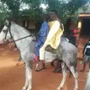 Jay shaller - @jay.shaller - TikTok