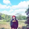 Jay Shamblin - @jayshamblin0421 - TikTok