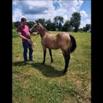 Jay hardesty - @hardesty3428 - Instagram