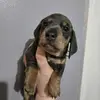 Jay&harley - @jdf25981 - TikTok