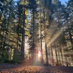 Jay Harmon - @jayharmon684 - Instagram