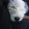 Jayhawker_ - @jayhawker_ - TikTok