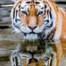 Jay Head - Facebook