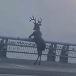 Jay - @jay.hearnden - Instagram