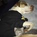 Jaye Hearn - Facebook