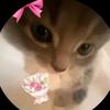 heflin jayshawn7444 - @heflin.jayshawn74 - TikTok