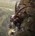 Jason Helsel - Facebook