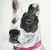 Jay Herrin - Facebook