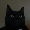 The_Real_Jay_Heyman - @jayheyman1 - TikTok