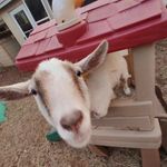 Jay Hillis - @pb_njay - Instagram
