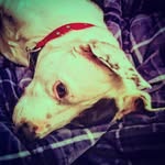 Jaylon Hocking - @jaylonhocking - Instagram