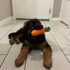 Jayhoff18 - @sergeantvombrowardhaus - TikTok