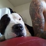 Jay Hogan - @jay.hogan.50 - Instagram