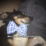 Jay Holbrook - @jay112072 - Instagram