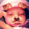 jaylyn Holbrook - @jaylyn_holbrook - TikTok