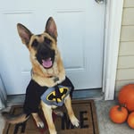 Jayda Hollenbeck - @jaydahollenbeck - Instagram