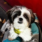 Homer Jay Sivin - @homerjaysivin - Instagram