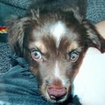 Jay Horwitz - @jayrhu - Instagram