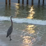 Jay & Donna Hostetler - @ministrywave - Instagram