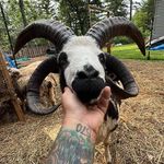 Jay Hunsicker - @jaywaker - Instagram