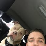 Jay Hussey - @jhusboi918 - Instagram