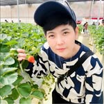 Jay Huynh - @van2289 - Instagram