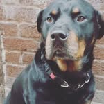 jase - @jayinman568954 - Instagram