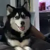 Iwilltrytobeagoodtiktoker - @jayisonyoutube21836 - TikTok
