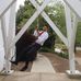 Jay Ivey - Facebook