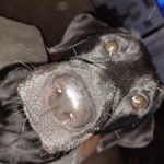 Jay Ivey - @psn895 - Instagram