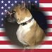 Jay Jarrell - Facebook