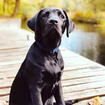 Jay Jasper - @jay_jasp - Instagram