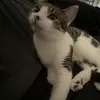 JAY - @jay.kane2 - TikTok