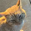 jaykane78 - @jaykane78 - TikTok