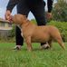 Jay Keen - Facebook
