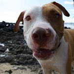 Jay F Kerns - @thr3fishes - Instagram