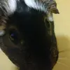 jayvonkirkpatrick0 - @jayvonkirkpatrick0 - TikTok