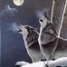 Jay Knauer - Facebook