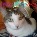 Jay Jay Kohler - @jayjaykohler - Instagram