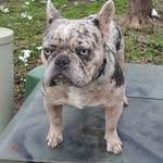 Jay Koonce - @jkoonce122025 - Instagram